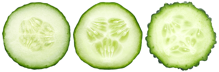Heirloom cucumbers