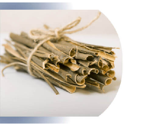 White willow bark